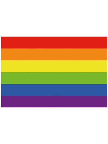 Gay Pride Regenbogen Aufkleber 8x12cm Hier Diskret Kaufen Spexter