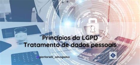 Princípios Da Lgpd Veja Como Respeitá Los