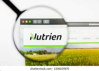 Nutrien Logo Vector (.AI) Free Download