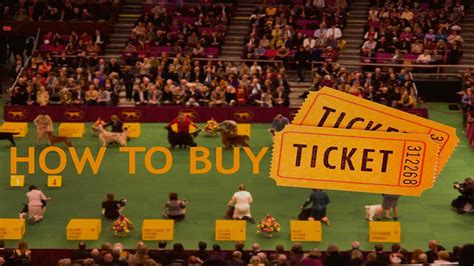 How to Buy Westminster Dog Show 2023 Tickets - Let's Know!! - Dog Show TV