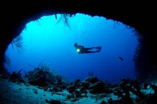 Submarinismo En Los Roques Venezuela Los Roques Venezuela Venezuela