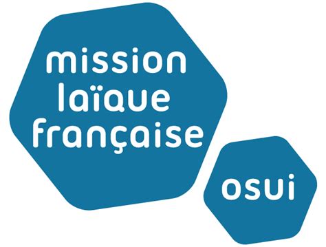 Une Organisation En R Seaux Mission La Que Fran Aise