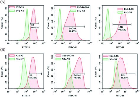 Effect Of The Array Of Amines On The Transfection Efficiency Of