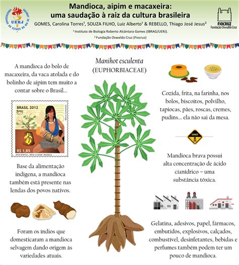 Mapa Mental Cultura Brasileira BRAINCP