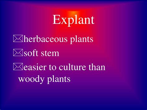 Ppt Plant Tissue Culture Powerpoint Presentation Free Download Id 1269607