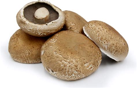 Grilled Chicken and Portabella Mushrooms with Peppercorn Sauce