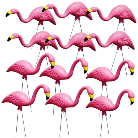 Pink Flamingos