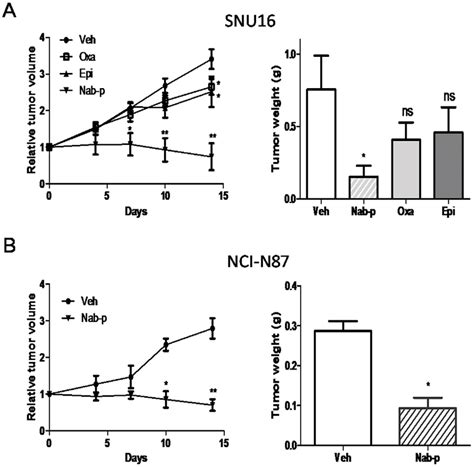 Nab Paclitaxel Inhibits Growth Of Established Local Tumor A Scid