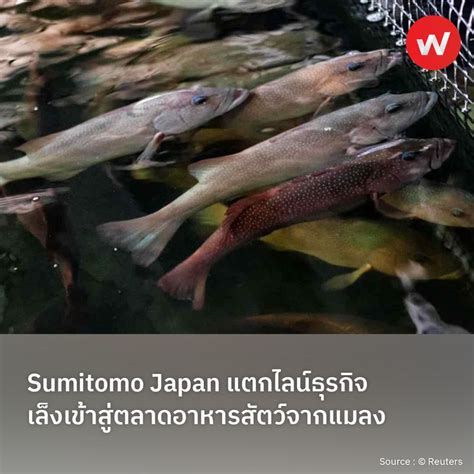 Wabiz รู้รอบทิศ ธุรกิจญี่ปุ่น Sumitomo Japan แตกไลน์ธุรกิจ เล็งเข้า