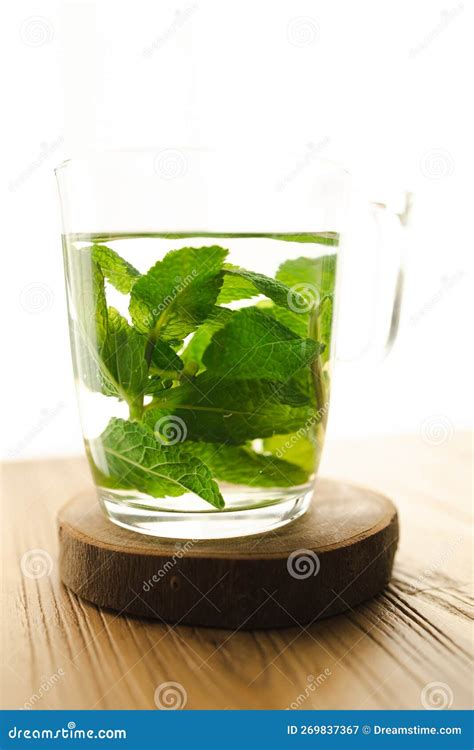 Hot Tea With Fresh Mint Leaves Stock Image Image Of Tree Infusion