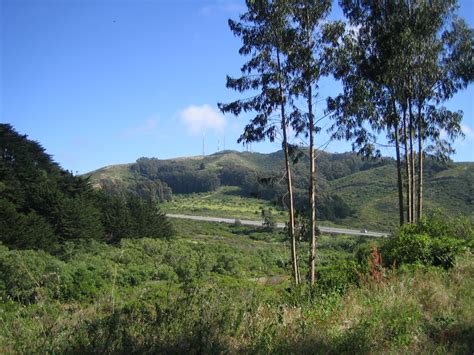 San Bruno Mountain Mountain Information