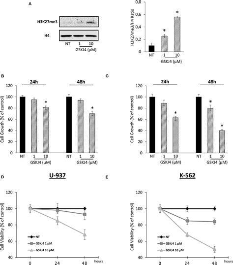 Frontiers The KDM Inhibitor GSKJ4 Triggers CREB Downregulation Via A