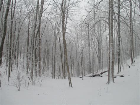 Appalachian Trail Part David Warners Flickr