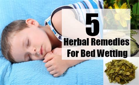 Top 5 Herbal Remedies For Bed Wetting Best Herbs For Bed Wetting