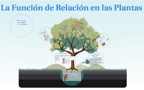 La Funci N De Relaci N En Las Plantas By Alba G Mez On Prezi