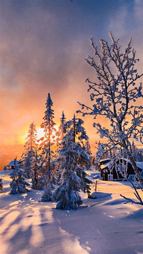 winter sunset, snowdrifts, HDR, orange sun rays, winter nature, forest ...