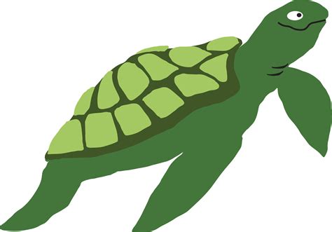 Land Turtle Svg