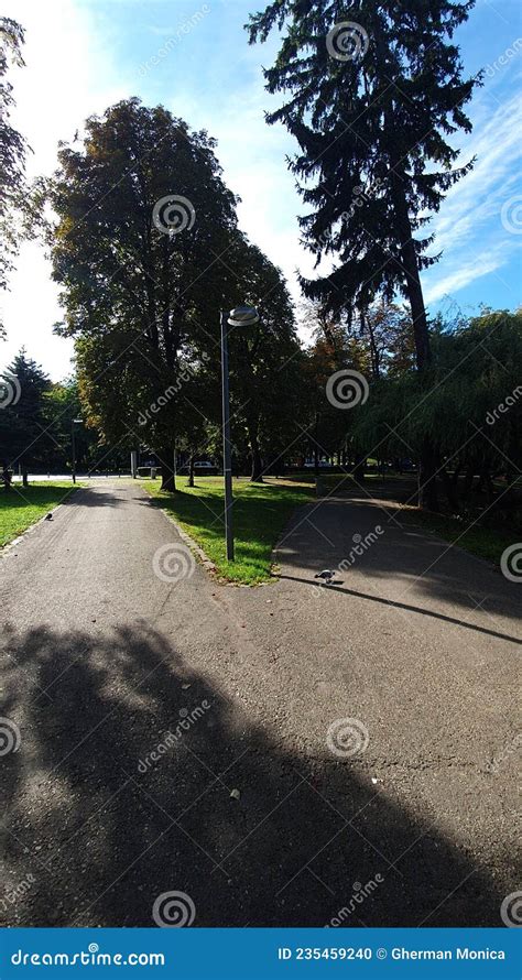 Central Park in Cluj-Napoca Stock Photo - Image of place, estate: 235459240