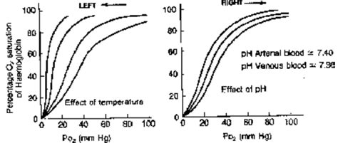 Factors Affecting Hb O2 Dissociation Curve Class 11 Physics Wallah