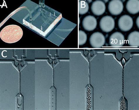 A Photograph Of A Pdms Based Microfluidic Chip Used To Fabricate