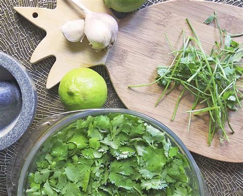 Usos Del Cilantro En La Cocina Y Qu Beneficios Tiene Para Tu Salud