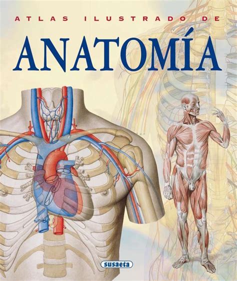 140 Ideas De Anatomia En 2021 Anatomia Ilustracion Medica Arte De I