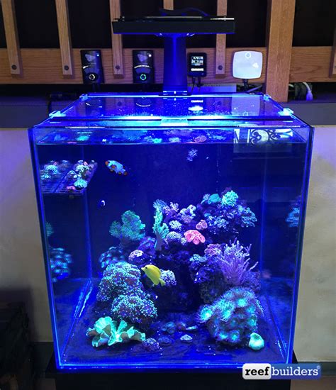 This is How You Setup a Reef Tank for a Family Member | Reef Builders ...