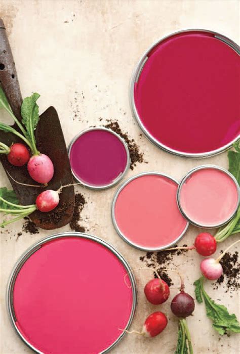 Radish Red Paint Color Inspiration Paint Colors For Home Paint