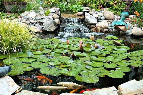 25 Pond Waterfall Designs and Ideas