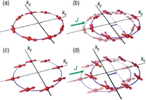 A Model Of A Spin Texture In A Two Dimensional Rashba Spin Orbit Download Scientific Diagram