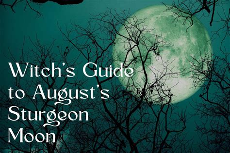 August Full Moon 2024 Rituals Alex Chickie