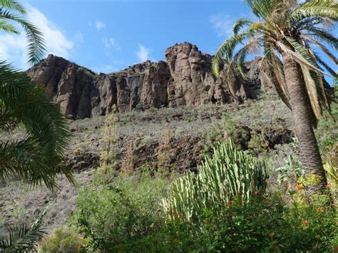 Paisaje Rocoso De Barranco De Los Palmitos Con Palmeras De Cactus Y