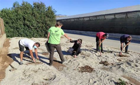 Anse Aproa Y Coexphal Unidos Para Implementar Setos Y Atraer Insectos