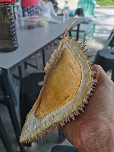 Greenhill Durian Farm Balik Pulau Organically Caltivated