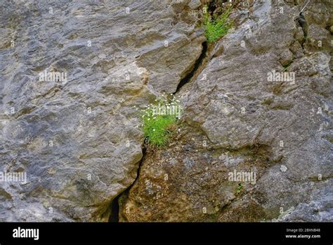 Karst Landscape Sohodol Valley Stock Photo Alamy