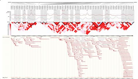 Gene Context And Ld Map Of The Bovine Chromosome 23 Containing The Snps