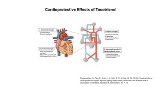 Vitamin E Slide Show Presentation Tocotrienol PPT