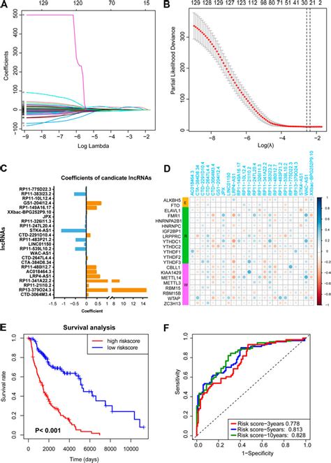 Frontiers M6a Related Lncrnas Are Potential Biomarkers For The