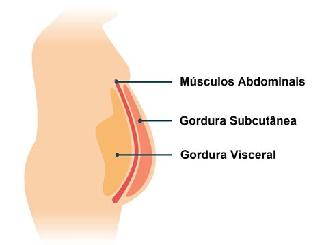 O Que E Gordura Visceral