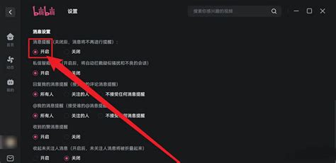 哔哩哔哩电脑版怎么开启消息提醒 开启消息提醒的方法 系统屋