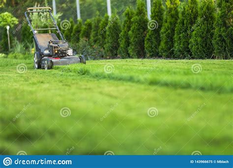 Cortador De Grama Que Corta A Grama Verde Imagem De Stock Imagem De