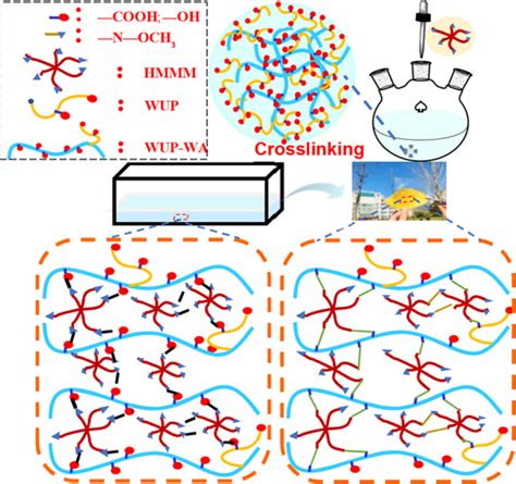 Journal of Applied Polymer Science | Wiley Online Library