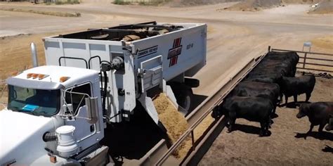 Feedlot Ration Auto Delivery System Shows Promise Video Beef Central