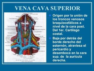 Vena Cava Superior Ppt