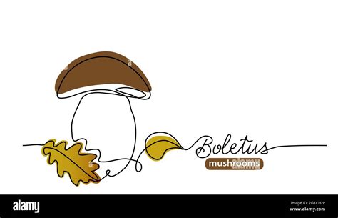 Boletus Cep Porcini Wild Mushroom One Line Art Drawing Simple Vector