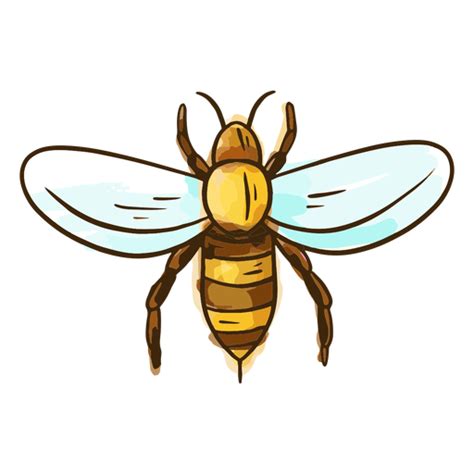 Cute Honey Bee Png