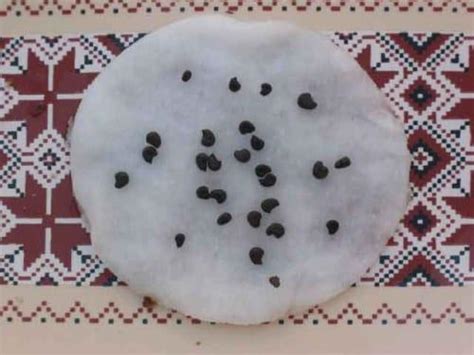 Отглеждането на абутилона от семена