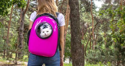 Best Cat Backpack: 10 Adventure and Hiking Cat Carrier Backpacks (2022)