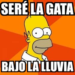 Meme Homer seré la gata bajo la lluvia 33078176