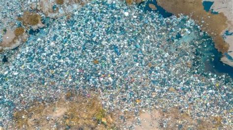 The Frightening Journey of Microplastics from Oceans to Our Bodies ...